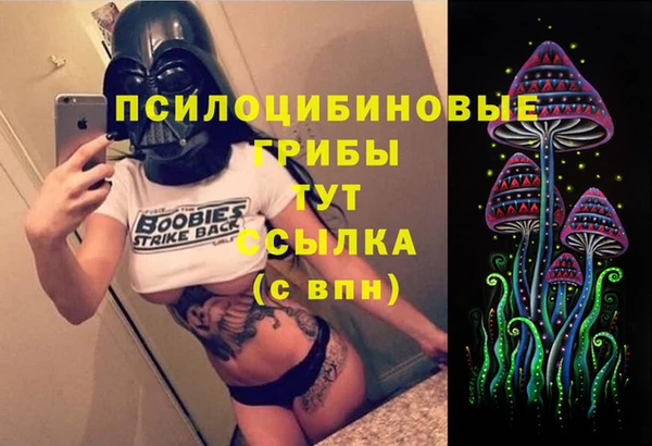 бошки Баксан