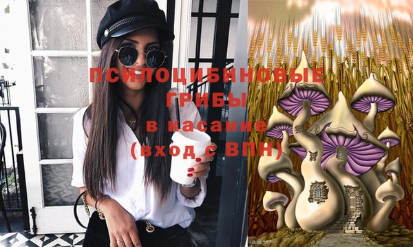 бошки Баксан