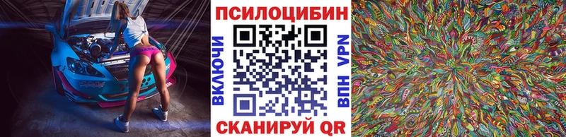 Галлюциногенные грибы Psilocybine cubensis  Барабинск 